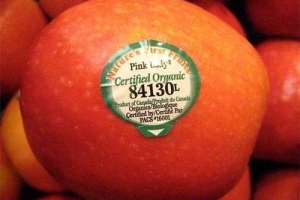 Mua trái cây trong siêu thị thấy có kí hiệu này, chớ tham rẻ mà cố mua về kẻo