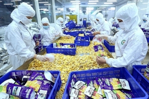 Nông sản Việt mở rộng thị trường xuất khẩu