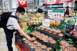 Quảng bá vải thiều và các loại hoa quả khác của Việt Nam tới người tiêu dùng Nhật Bản