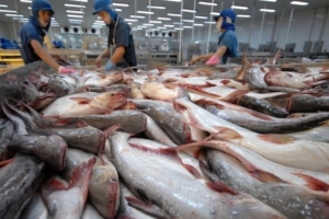 Việt Nam đứng vị trí thứ hai cung cấp cá ngừ cho Canada