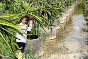 Huyện Đồng Hỷ (Thái Nguyên) xây dựng vùng cây ăn quả tập trung
