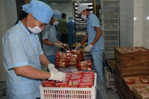 Hà Nội tăng cường kiểm tra các cơ sở sản xuất bánh Trung Thu