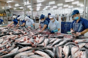 Mỹ giữ nguyên mức thuế chống bán phá giá đối với cá tra, basa Việt Nam