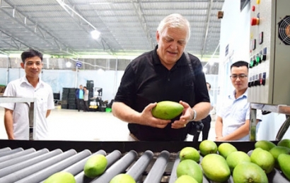 Tuần này, trái cây Việt Nam xuất khẩu sang Mỹ sẽ bình thường trở lại