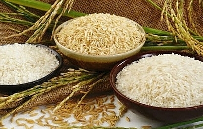 Giá lúa gạo hôm nay (29/7): Đảo chiều tăng trở lại