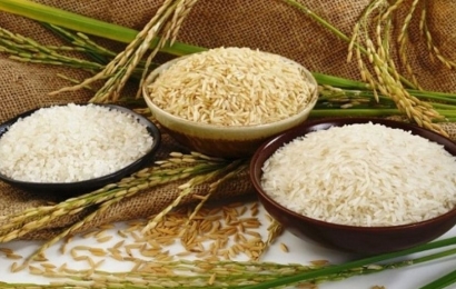 Giá lúa gạo hôm nay ngày 30/8: Cuối tuần không biến động