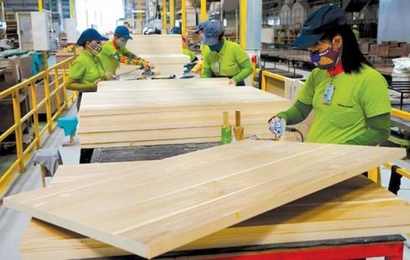 Quy định Hệ thống bảo đảm gỗ hợp pháp Việt Nam