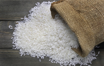 Giá lúa gạo ngày 30/9: Bật tăng trở lại
