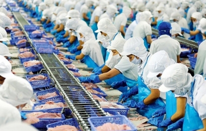 Bộ Nông nghiệp và Phát triển nông thôn cảnh báo doanh nghiệp lưu ý trước việc Trung Quốc siết chặt nhập khẩu thủy sản
