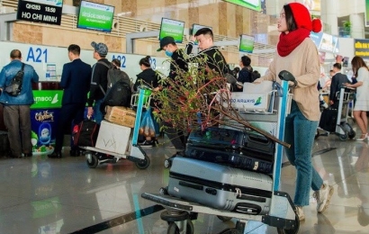 Vietnam Airlines và Bamboo Airways nhận vận chuyển đào, mai Tết Tân Sửu