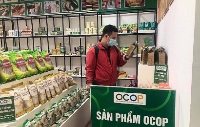Năm 2021, Hà Nội phát triển mới 30-40 điểm giới thiệu, bán sản phẩm OCOP