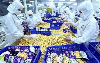 Nông sản Việt mở rộng thị trường xuất khẩu