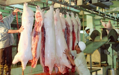 Kon Tum: Tìm giải pháp phát huy các lò giết mổ gia súc tập trung