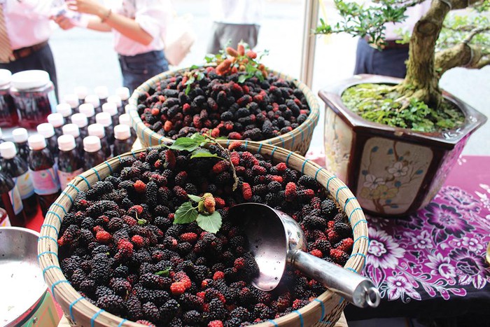 Các sản phẩm dâu từ vườn dâu Hai Thuận.