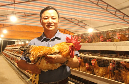 Ảnh minh họa.