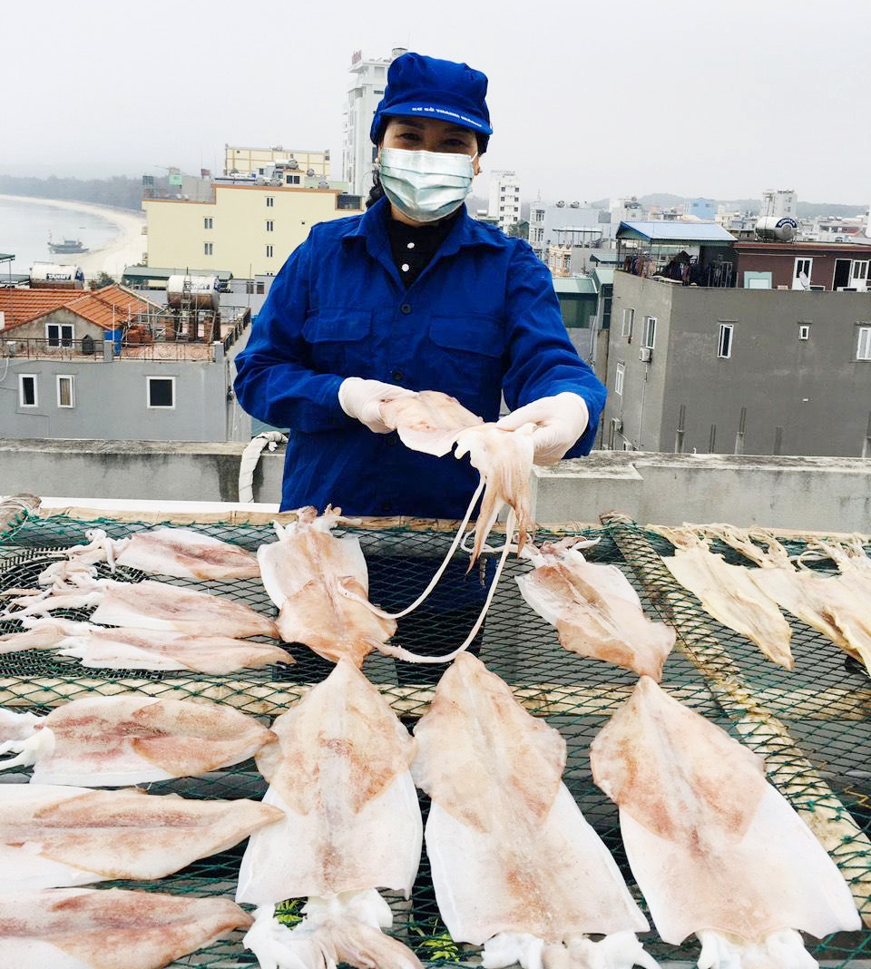 Đưa mực ống Cô Tô thành sản phẩm thương hiệu.