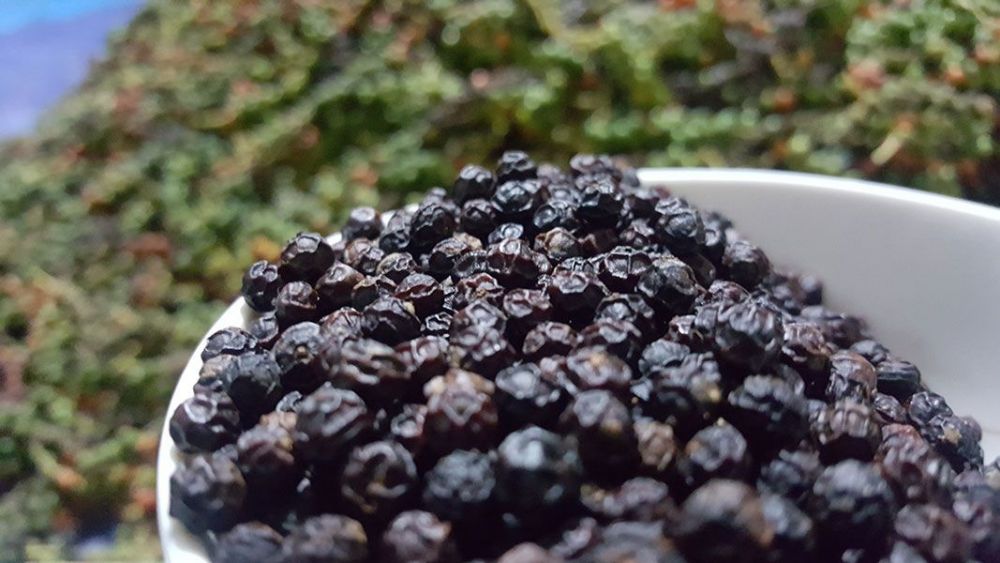 Gi&aacute; ti&ecirc;u ncao nhất 54.000 đồng/kg.