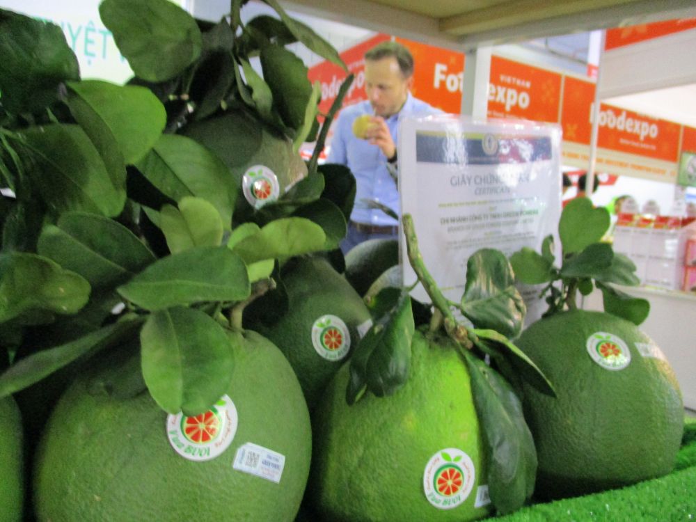 Chile thiết lập các yêu cầu kiểm dịch thực vật nhập khẩu đối với trái bưởi tươi của Việt Nam.