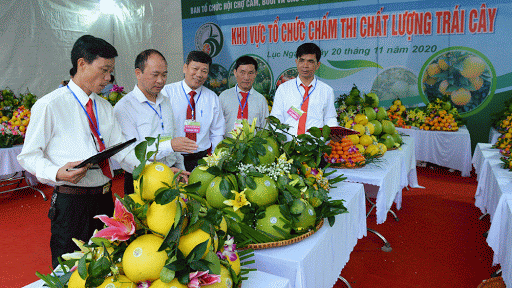 Huyện Lục Ngạn (Bắc Giang) khai trương s&agrave;n giao dịch thương mại điện tử cam, bưởi v&agrave; c&aacute;c sản phẩm đặc trưng.