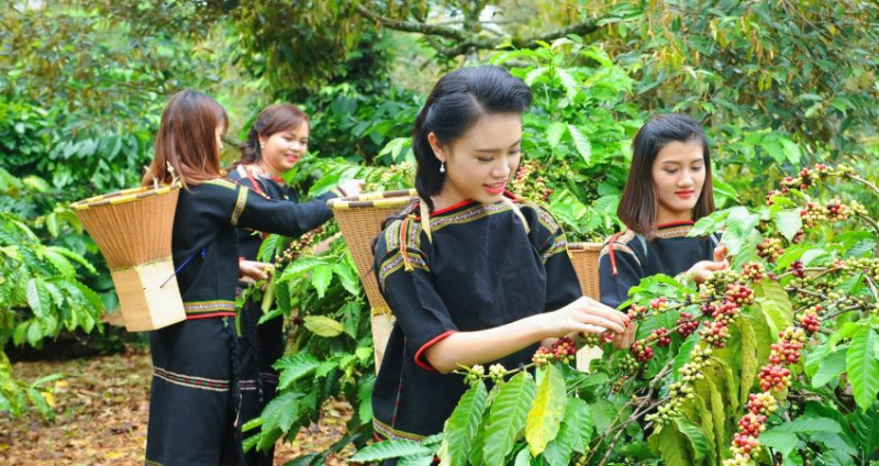 Ảnh minh họa.