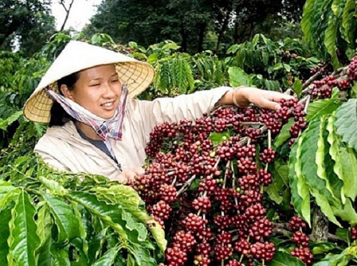 Ảnh minh họa.
