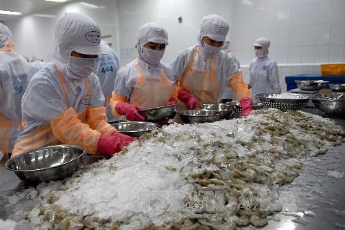 Vina Clearnfood tiến tới xây dựng tôm nuôi đạt tiêu chuẩn ASC.