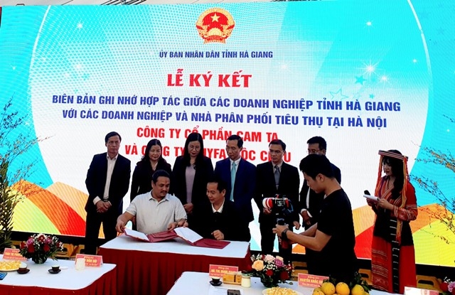 Đại diện c&aacute;c đơn vị k&yacute; kết bi&ecirc;n bản ghi nhớ v&agrave; cả hợp đồng hợp t&aacute;c.