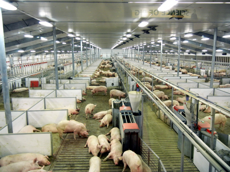 Ảnh minh họa.