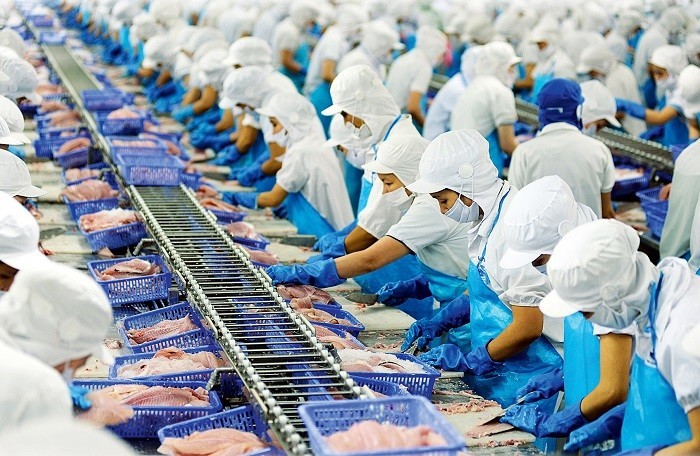 Bộ Nông nghiệp và Phát triển nông thôn cảnh báo doanh nghiệp lưu ý trước việc Trung Quốc siết chặt nhập khẩu thủy sản.