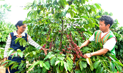 Ảnh minh họa.