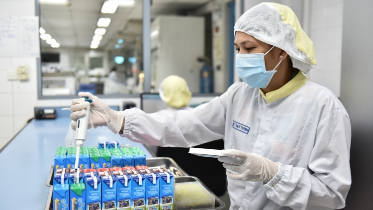 Cô Gái Hà Lan: Thương hiệu top 4 toàn cầu.