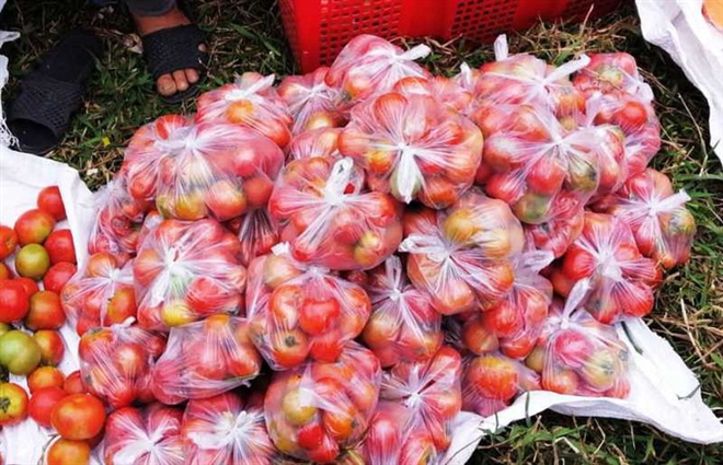 Cà chua là mặt hàng không thể thiếu tại chợ Chuộng.
