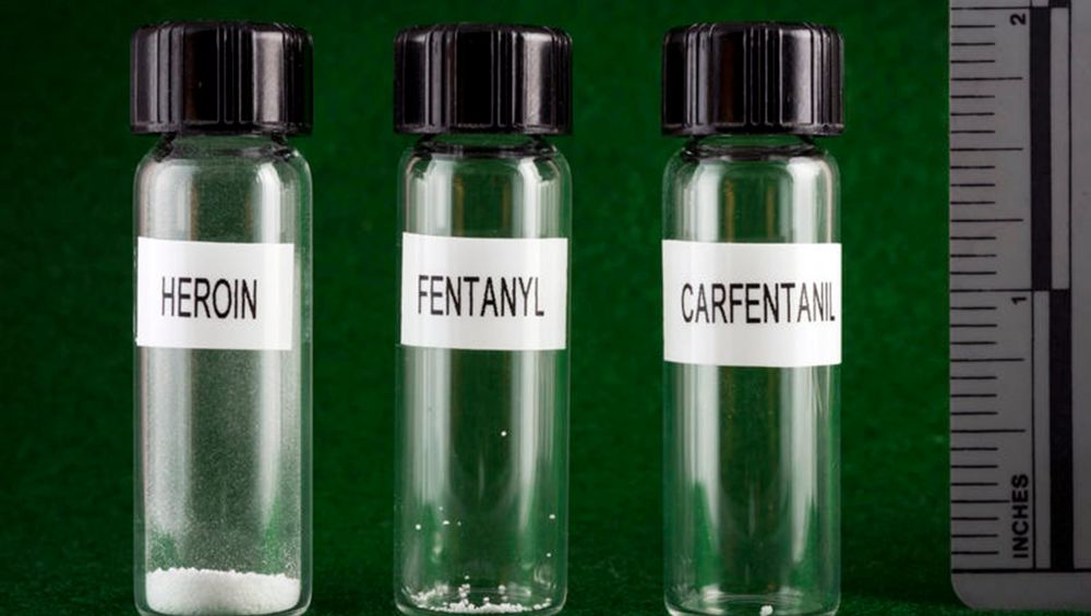 Báo động tình trạng thuốc giả có chứa fentanyl giảm đau