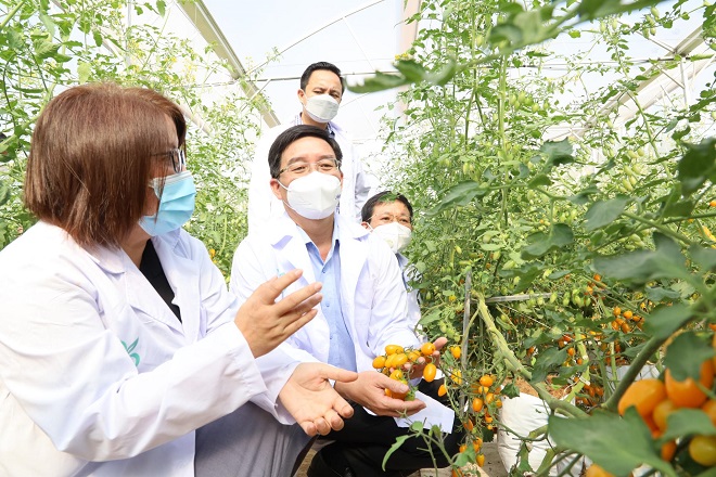 Đại diện Công ty CP Ban Mê Green Farm giới thiệu quy trình sản xuất cà chua trái cây với  Bí thư Tỉnh ủy Nguyễn Đình Trung (Ảnh báo Đắk Lắk)