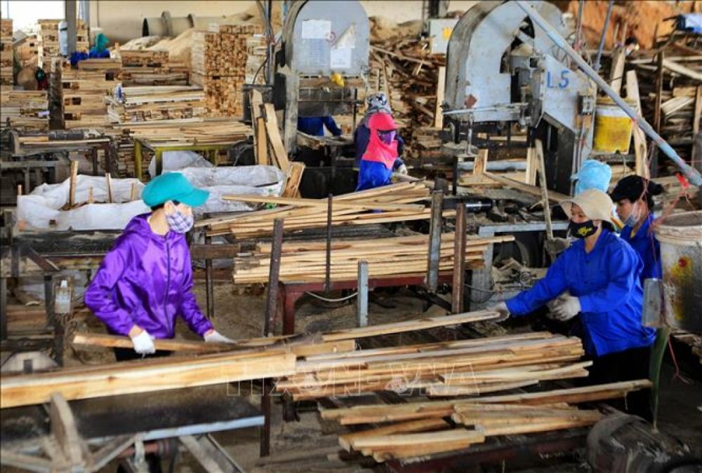 Các chuyên gia dự báo, nhập khẩu gỗ nguyên liệu của Việt Nam trong thời gian tới sẽ tiếp tục giảm