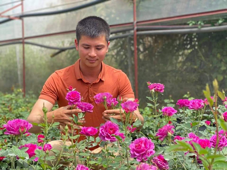 Anh Hoàng Gia Trang - chủ vườn hoa hồng với hơn 100 giống nhập ngoại
