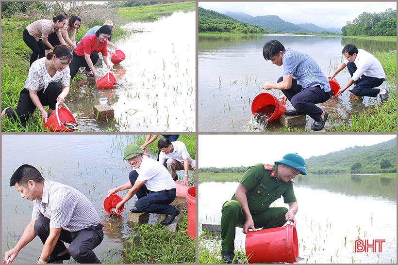 Huyện Nghi Xuân (Hà Tĩnh) thả hơn 5 tạ cá tái tạo nguồn thủy sản