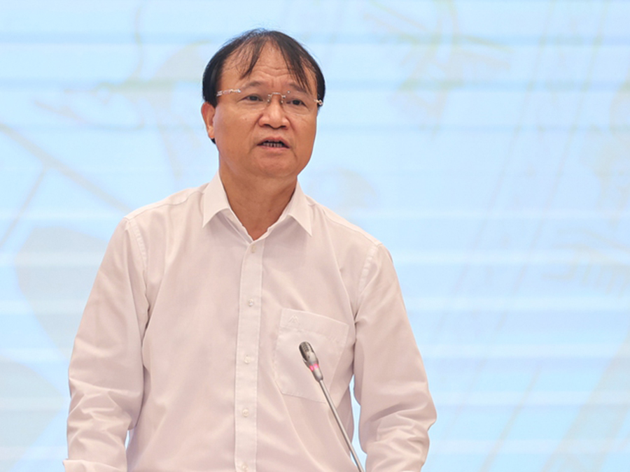 Thứ trưởng Đỗ Thắng Hải phát biểu tại cuộc họp.