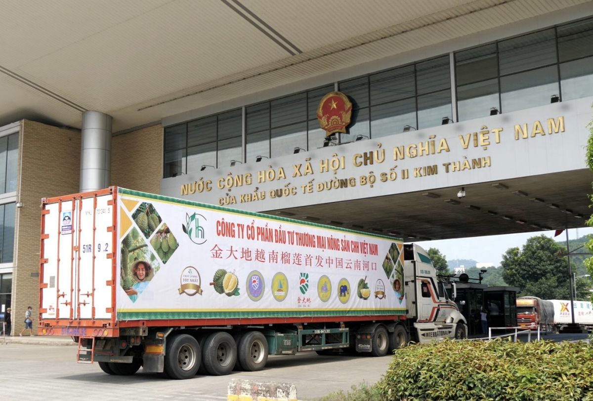Xe chở sầu riêng xuất khẩu sang Trung Quốc qua Cửa khẩu quốc tế đường bộ số II Kim Thành.