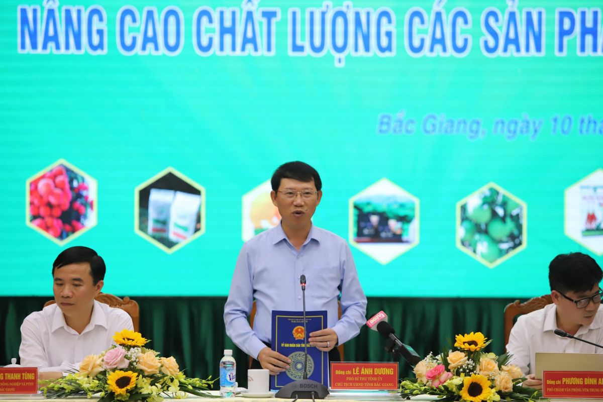 Ông Lê Ánh Dương- Phó Bí thư tỉnh uỷ, Chủ tịch UBND tỉnh Bắc Giang phát biểu tại Hội thảo.