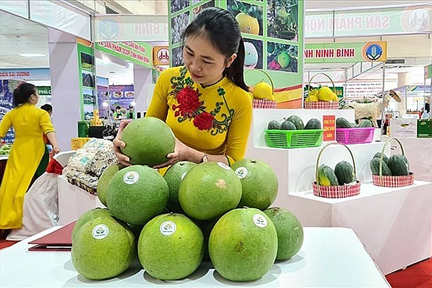 Hội chợ Đặc sản vùng miền Việt Nam 2022 sẽ diễn ra từ 23-27/11/2022 tại quảng trường Vincom Mega Mall Royal City (Hà Nội).