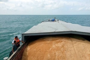 Cảnh sát biển bắt tàu vận chuyển khoảng 200 tấn đường cát không giấy tờ