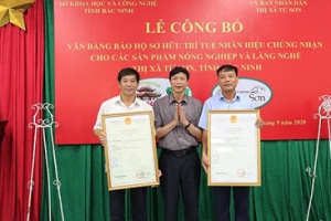 Thị xã Từ Sơn (Bắc Ninh): 2 sản phẩm nông nghiệp và làng nghề được bảo hộ sở hữu trí tuệ chứng nhận nhãn hiệu
