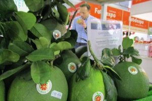 Chile thiết lập các yêu cầu kiểm dịch thực vật nhập khẩu đối với trái bưởi tươi của Việt Nam