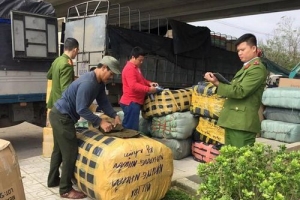 Quảng Nam: Bắt xe tải chở hơn 2 tấn hàng lậu và hàng có dấu hiệu xâm phạm sở hữu nhãn hiệu Levi's