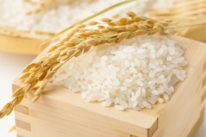 Giá lúa gạo hôm nay 5/3: Giá gạo nội địa sụt giảm