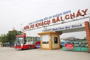 Quảng Ninh: Mở lại hoạt động vận tải khách liên tỉnh và hoạt động du lịch từ 11/3