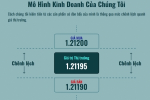 Sàn ảo Swissmes 'nuốt' nghìn USD: Giao dịch ẩn danh, không rõ địa chỉ