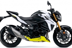 Suzuki GSX-S750 2021 thêm màu mới, giá 255 triệu đồng