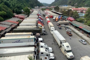 Lạng Sơn đề nghị doanh nghiệp dừng đưa hàng lên cửa khẩu